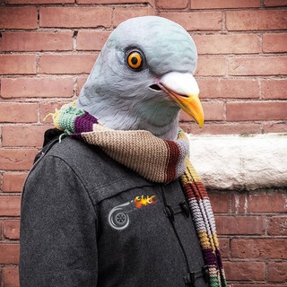 Логотип @turbogolub - Голубиная турбина