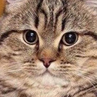 Логотип @turbojedi - Т У Р Б О Р А Ч Ь Ё