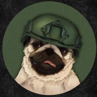 Логотип @turchik_pug - Turchik