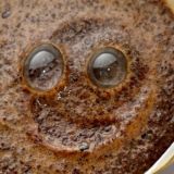 Логотип @turetskiislak - Детство, гости, кофе, дегермен