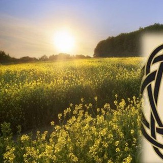 Логотип @turizm_putishestvie1 - 🌴 Туризм 🌴 Путешествие