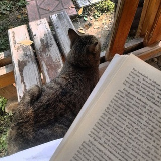 Логотип @turkdiliturk - 𝕋ü𝕣𝕜 𝔻𝕚𝕝𝕚 | 𝚃ü𝚛𝚔 𝚋𝚕𝚘𝚐𝚞🇹🇷