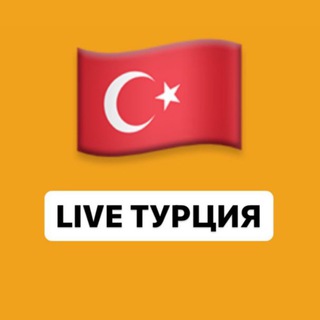 Логотип @turkey_cat - LIVE Турция