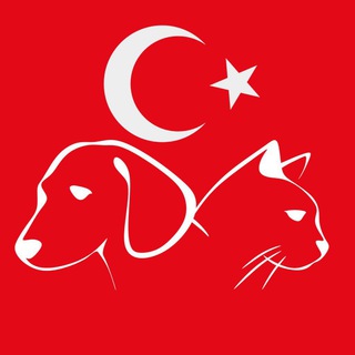 Логотип @turkey_pets - Турция с питомцем (собака, кошка и проч)