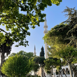 Логотип @turkeylook - TürkiyeLook 🇹🇷