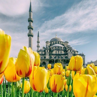 Логотип @turkihs_maryam - Ответы