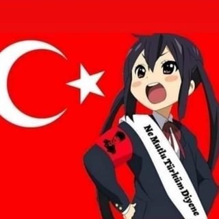 Логотип @turkishsteam - Oktavius поможет с PSN, Steam и не только