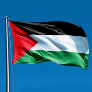 Логотип @turkiyetodays - Палестина сегодня 🇵🇸