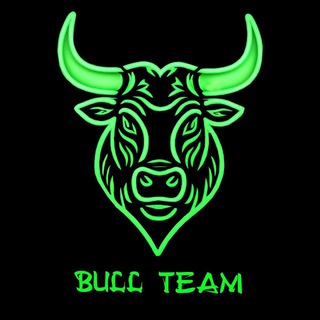 Логотип @turkmen_vpnlar - BULL TEAM GROUP VPN