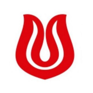Логотип @turkstore116 - Turkstore