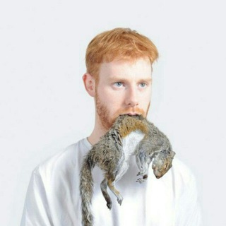 Логотип @turriseburnea - Turris eburnea