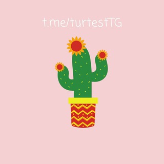 Логотип @turtesttg - Турецкий тест 🌵 Türkçe