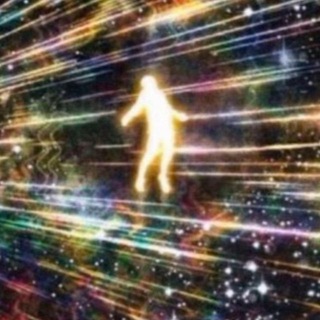 Логотип @turtle_strategy - стратегия черепахи