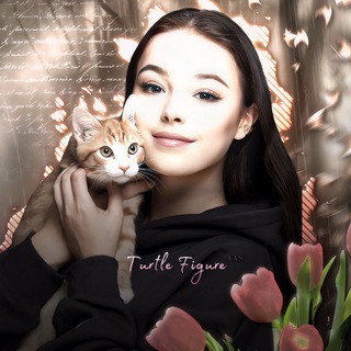 Логотип @turtlefigure - ༢ 𝙏𝙪𝙧𝙩𝙡𝙚 𝙁𝙞𝙜𝙪𝙧𝙚 🐢