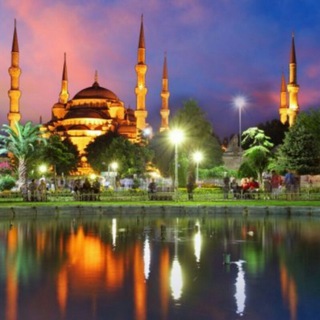 Логотип @turtsia - Турция