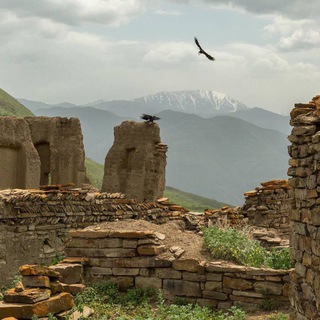 Логотип @tury_po_dagestanu - Туры по Дагестану