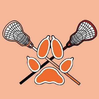 Логотип @tut_shivut_lisi - 🦊🥍Лисы🥍🦊