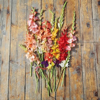 Логотип @tut_zlaya_vedma - ZLAYA VEDMA & her plans