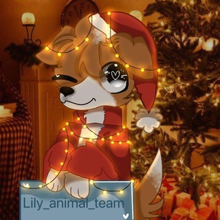 Логотип @tutti_frutti_aisha - LILY_ANIMAL_TEAM