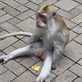 Логотип @tuttoy_inc - TUT TOY - ПЕРЕРОЖДЕНИЕ