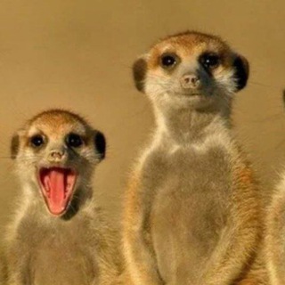 Логотип @tutueptchannel - Смеху🔞чки 🚂