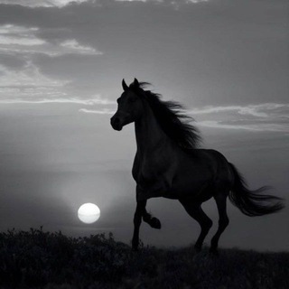 Логотип @tuvatuv017 - 🌀☸SETKILDEN_MUZ☸🌀