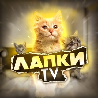Логотип @tv_lapki - Лапки TV 🐾 Животные 🐶