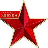 Логотип @tv_zvezda - Телеканал Звезда