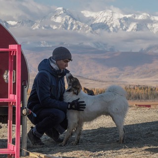 Логотип @tvasilyev - Тимур Васильев