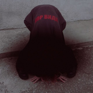 Логотип @tvigaporvida - ТВИГА ПОР ВИДА