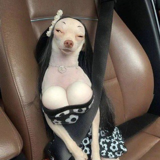 Логотип @tvihcq - Всё про жизнь🥵