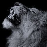 Логотип @tvmotivator - Avto prodaja