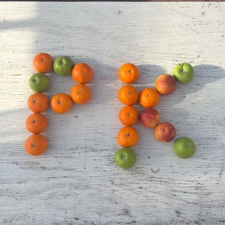 Логотип @tvoemor_e - РЕГИОНАЛЬНАЯ КУРАТОРКА