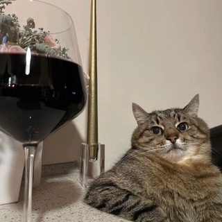 Логотип @tvoijoppa - да, а что?