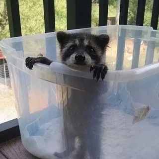 Логотип @tvoimoiglaza - твои мои пустые глаза