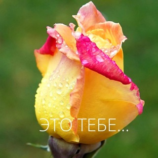Логотип @tvoisk - Подборка для тебя|Скидки