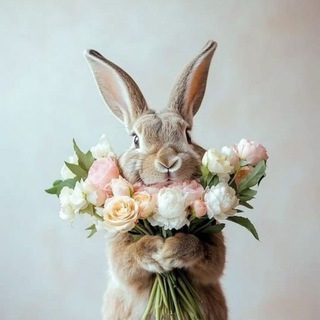 Логотип @tvoistorism - ТВОИ СТОРИС