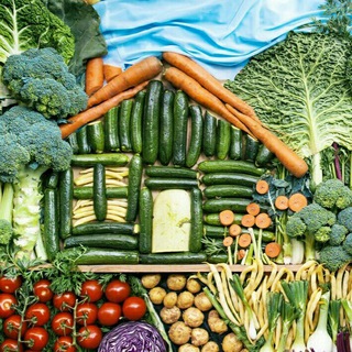 Логотип @tvojadacha - Твоя Дача