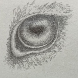 Логотип @tvorcheskie_ideii - Создавать и созерцать! 👩‍🎨