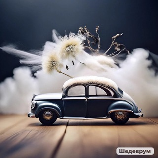 Логотип @tvoya_lastochka - Твоя ласточка 🚘