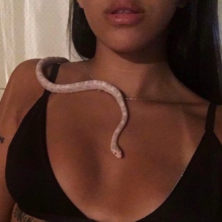 Логотип @tvoyacobra - cobra. 🤍