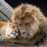 Логотип @tvoyaudalyonka - Твоя удаленная работа