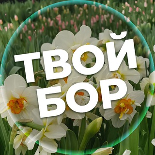 Логотип @tvoybor - Твой Бор | tvoy-bor.ru