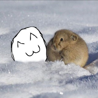 Логотип @tvoysoy - Творческое Объедение "СОЯ"