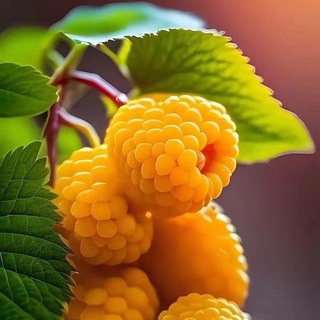 Логотип @tvseriegsc - 🌅FONDS D'ÉCRAN 🏜️