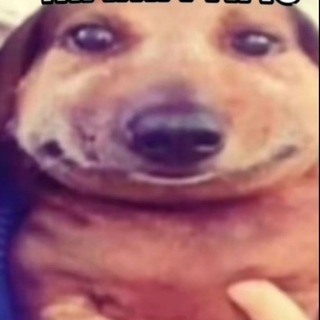 Логотип @tw1nks1488 - твинкс бро