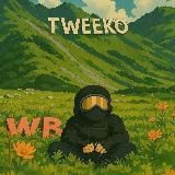 Логотип @tweeko1 - tweeko 🥷 | работаю на складе вб