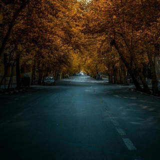 Логотип @twentymetersfromimamhussein - 20متری امام حسین