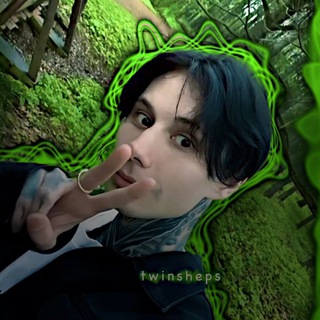 Логотип @twinsheps_m - Чат twinsheps✨