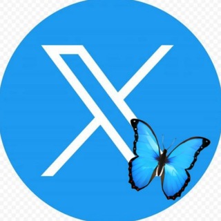 Логотип @twitter_hub - Crypto X HU₿